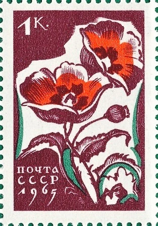Маки