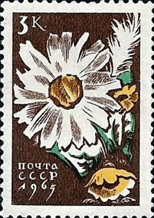 Ромашки