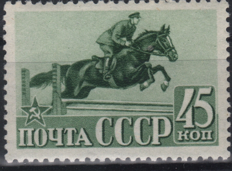 Конный спорт